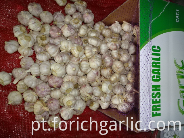 Fresh High Quality Garlic 2019